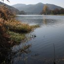 송산낚시 이미지