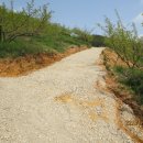 농은농장 이미지