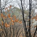 옥순봉길 이미지