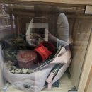 포포즈 반려동물장례식장 화성점 이미지