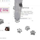 오늘은 세계 고양이의 날 이미지