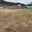 부곡온천부동산중개 이미지