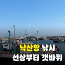 항구낚시터 | 양양 낙산항 낚시터 추천: 선상부터 갯바위까지 완벽 공략 가이드