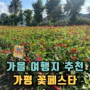 가평 가볼만한 곳 아름다운 꽃페스타 후기