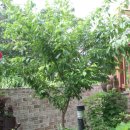 처남목장 이미지