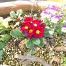 건강한 약국 앞 이미지