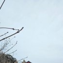 관악산 자연학습장 화장실 | 삼일절에 관악산 연주암에 오른 후기