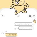 묘한고양이