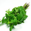 허브향기 이미지