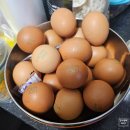 늘해랑농장 | 쫄깃하고 탱글탱글한 맥반석 조은해남 구운란 먹방후기