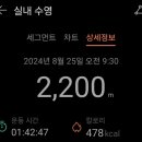 중랑구민체육센터 | 중랑구민체육센터 자유수영 후기 | 일요일 수영