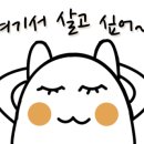 아일라리조트 이미지