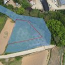 별립산농장 이미지