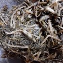 김선자 농장 이미지