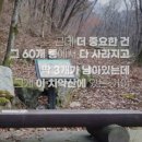황골탈퇴 치악산