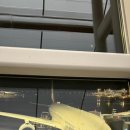 버디버디B | [경기청년 기후특사단 2기] 로터스월드 활동 후기 1편