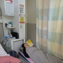 이슬이 맺히며 가을기운이 완연해지는 백로의 9월! 이미지