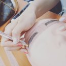 아이리스 아카데미 네이버블로그