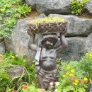 두메골밥상 이미지