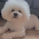 로고스 동물병원 이미지