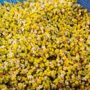 양지 뜰 펜션 이미지