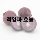 적양파 효능 및 효과 보관법 이미지