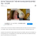 &#34;합의금 못 준다&#34; 유명 셰프 레스토랑, 통유리창 덮쳐 행인 부상…고소 당해 이미지