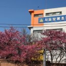 서울보광초등학교