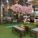 안경백화점 터미널점 이미지