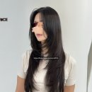 서대문역 미용실 파인트리 헤어살롱 긴머리 하이레이어드 컷 후기