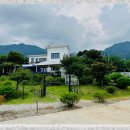 강아지 보호센터 이미지