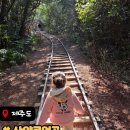 동화길 | [제주 여행] 제주도 산양큰엉곶 후기 🌿🍄 아이랑 가기 좋은 숲속 동화길(토끼+호박요정+포토스팟 잔뜩)