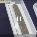 교산동 건물지 | 통일신라 9주 5소경 치소 설명(2) - 한주의 훼이크
