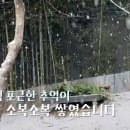 초ㅠ 이미지