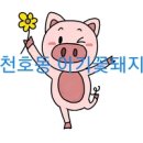 남양주 평내도서관에서 다산 정약용의 향기를 맡았습니다