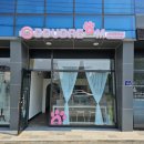 뚜드림 안동점 | 원데이클래스 , 강아지수제간식_<DDUDREAM> 솔직후기