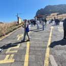 성산-신월-1-F-1 | 설날 시댁과 제주도 여행 3박4일 ✈️ ④ 마지막날 |성산일출봉 무료코스·목장카페 밭디·스타벅스 송당...