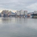 광도면사무소 이미지