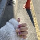 불당동 네일 기록 - 겨울 네일 추천! 네일 심플리 (내돈내산)