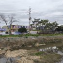 금풍마트 이미지