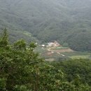 신원 사슴목장 이미지