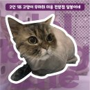 달봉이네 대연점 이미지