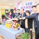 라온 이미지