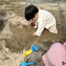 신존떡볶이퍼스트 | [아산/아기랑갈만한곳] 아산퍼스트빌리지공룡월드 :: 움직이는 공룡 쇼를 눈앞에서!!!