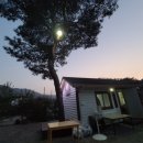 추노생고기 네이버블로그