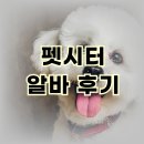 펫시터 자격증 취득 후 알바 후기