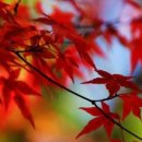 탑노래클럽 - 남동구 호구포로 201 | 탑노래클럽