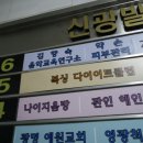 광명 Jin 복싱클럽 이미지