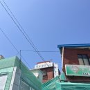 [부산 맛집] 전현무계획에 나온 부산 3대 밀면 맛집, 내호냉면 본점