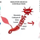 365소통한의원 이미지